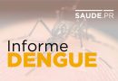 Paraná registra três novos óbitos provocados pela dengue; total chega a 32